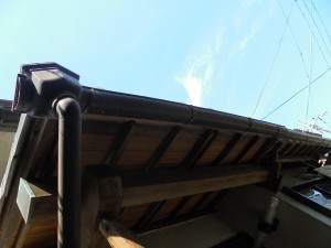 dsc01025