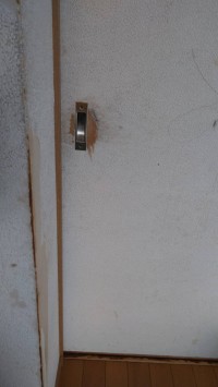 2231