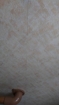 2239